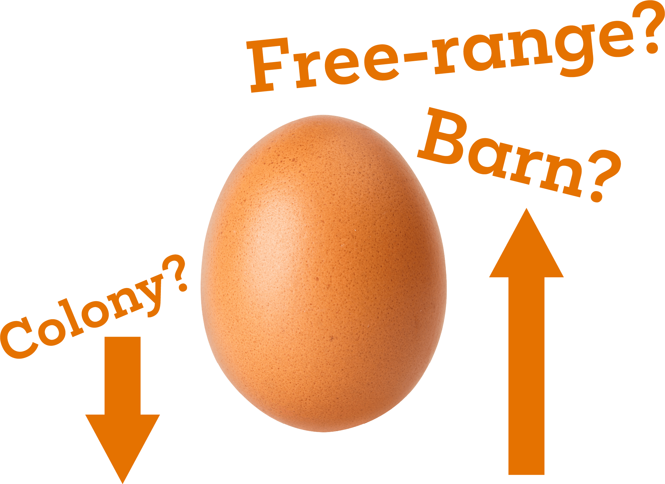 Free-range? Barn? Colony?