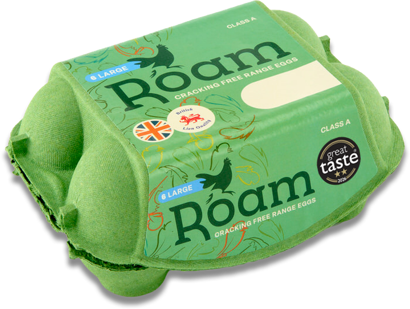 Roam 6s Large box